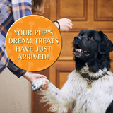 Zignature Soft Moist Dog Treats Turkey Formula