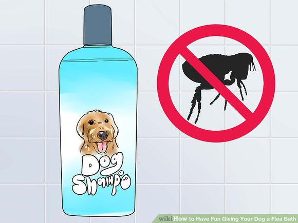 Grooming FLEA BATH $15