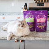 Stella & Chewy's Stella's Solutions Freeze-Dried Cat Chicken Recipe Dinner Morsels w/ Digestive Boost