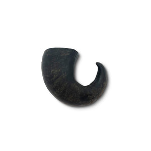 Wild Eats Water Buffalo Horn Dog Chew