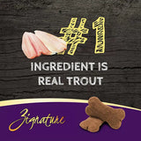 Zignature Ziggy Bars Trout Formula Dog Treats